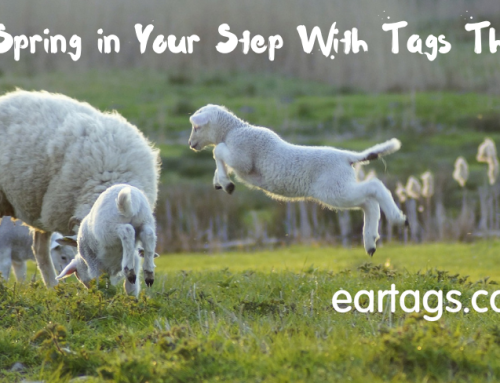 Get a Spring in Your Step With Tags That Last