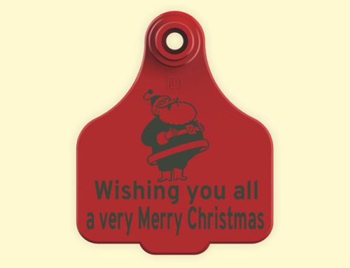 Merry Christmas & a Happy New Ear!