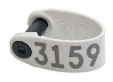 RapID Tag Alfllex NLIS eID Eartags Warehouse Sheep Goat Lamb Kids