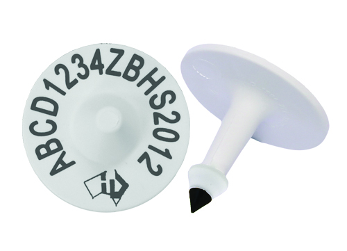 Z Tags NLIS White Breeder Cattle Tag